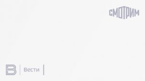 В числе погибших в ДТП у пермской деревни Черепахи есть ребенок