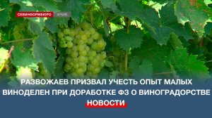 Учесть опыт малых виноделен при доработке федерального закона призвал губернатор Севастополя