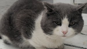 REZUNOV – Незачем ждать