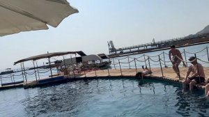 Исцеляющее поле дельфина