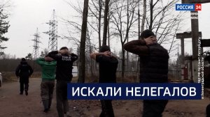 ВЕСТИ 24 Санкт-Петербург от 14.11.2025