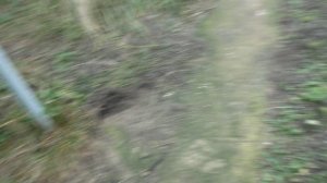 Я на даче 10.11.2025