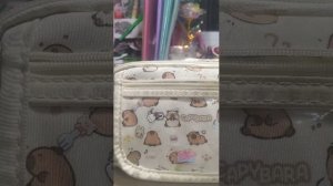 обзор на школьный пенал