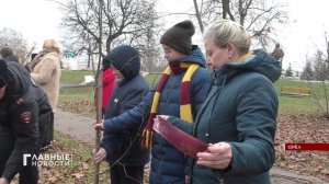 В Орле прошла акция, приуроченная к Всемирному дню памяти жертв дорожных аварий.