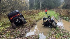 Осенний лес на Avantis Ray 200