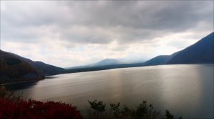 Vasilii CECEGOV - Я письмо твоё храню (Caucasian Dance)