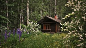 МИСТИКА.ЖУТКАЯ ИЗБА В ЛЕСУ-РЕАЛЬНЫЕ ,ТАЁЖНЫЕ ИСТОРИИ