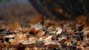 РекЛика  14 ноября 2025