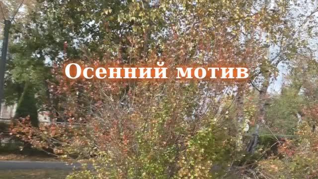 Осенний мотив....Музыка Сергея Грищука смотреть онлайн