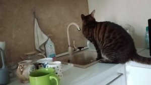 хаахаххаахахха это было в 2024