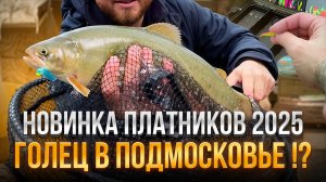 #31 ПРИЕХАЛ ПОЛОВИТЬ ФОРЕЛЬ ,А ПОЙМАЛ ЕГО.. СПАРКТИК ИЛИ ГОЛЕЦ. НОВИНКА НА ПЛАТНИКАХ.