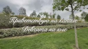 video-output-49F63735-1A80-4B88-A3A3-ED987DB9A142-1