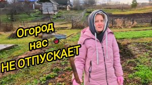 КУПИЛИ ДОМ В ДЕРЕВНЕ | Огород нас не отпускает | Дом в деревне | Деревенские будни