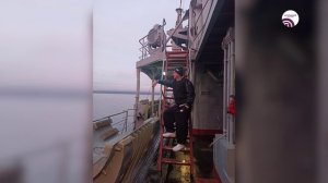 Актуальное интервью. Семён Кашаев и Максим Тодорович