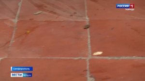 Пожилая женщина лежит среди мусора на лестничной площадке в Симферополе