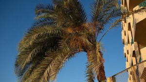 Moreno Horizon Spa & Resort