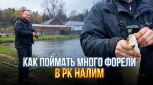 #26 ОТКУДА СТОЛЬКО СИЛ В ЭТОЙ РЫБЕ? РЫБАЛКА НА ФОРЕЛЬ В РК НАЛИМ. ПОКЛЕВКИ НА РЕЗИНУ НА СТРУЕ.