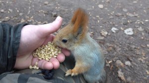 Балерина забежала перекусить