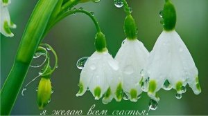 Молитва за мир во всем мире! Live 14.11.2025