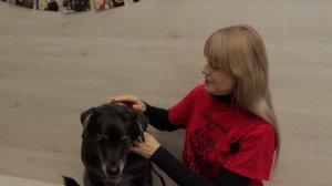 В Смоленске прошел Всероссийский форум по канистерапии