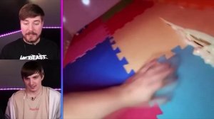 мистер бист