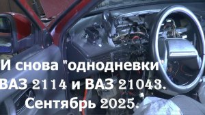 И снова "однодневки". ВАЗ 2114 и ВАЗ 21043. Сентябрь 2025.