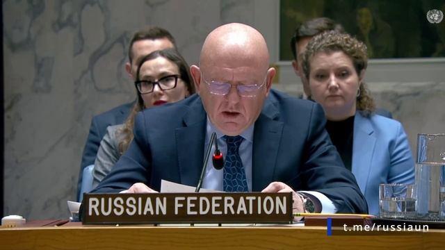 В.А.Небензя на заседании Совета Безопасности ООН по тематике его рабочих методов, 14 ноября 2025