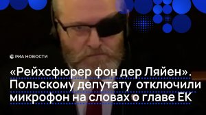 "Рейхсфюрер фон дер Ляйен". Польскому депутату отключили микрофон на словах о главе ЕК