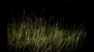 Коллекция моих снимков