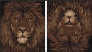 Прикольные картинки перевертыши (Часть 1). Видео от SAFa