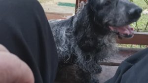 СОЧИ ГОРНОЕ ЛОО 14.11.2025