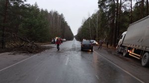 Обзор ДТП в Мордовии. 13 ноября