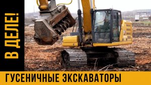 Грязный БИЗНЕС / ГУСЕНИЧНЫЕ ЭКСКАВАТОРЫ в работе / РАСЧИСТКА ТЕРРИТОРИЙ от ДКР