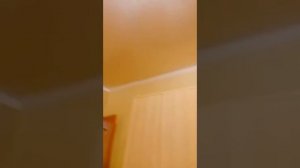 1-к. квартира 47.4 м², 7_11