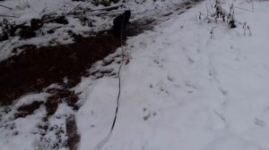 Снежку подвалило.