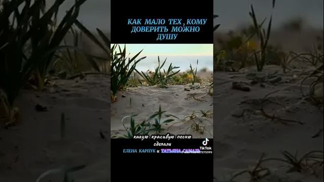 VID-20251114-WA0002.mp4