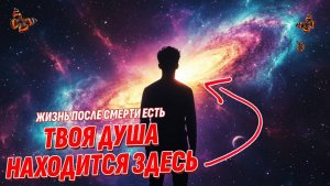 Душа находится в этом органе - Сенсационное открытие о Жизни после смерти