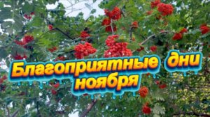 Благоприятные дни ноября 2025 года!