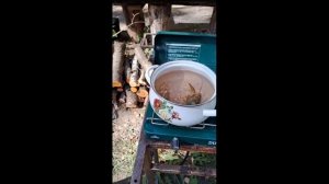 Шатура. База отдыха Ушма