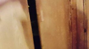 2-к кв., 45,2 м², г. Видное, ул. Школьная