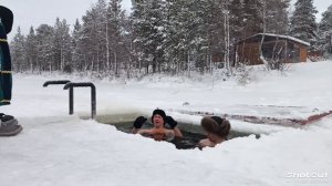 моржи Муравленко