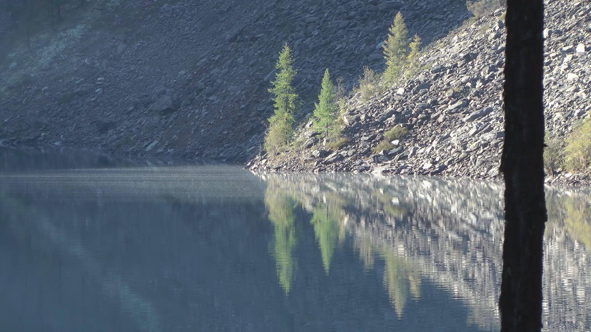 Шавла (Горный Алтай)