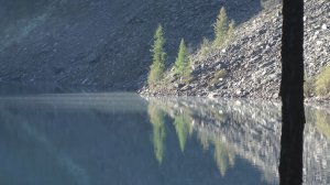 Шавла (Горный Алтай)