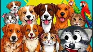 ЕНОТ СЁМА РАССКАЗЫВАЕТ ПРО ЖИВОТНЫХ