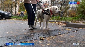 Вести Санкт-Петербург. Выпуск 08.35 от 14.11.2025