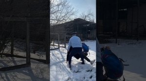 ЛУЧШИЕ МЕНТЫ