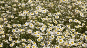 14 ноября - Срочно. Смотрите, что ждёт каждый знак зодиака.