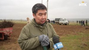 В районе поселка Нарын Приютненского района высажены 1000 деревьев