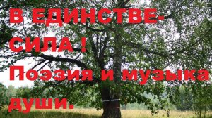 В ЕДИНСТВЕ- СИЛА! Автор стихотворения и видео А. Соколов. Музыка Вивальди ШТОРМ.