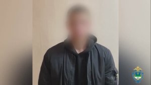 Дроппера и дроповода, участвовавших в хищении 11 млн рублей у пенсионерки, задержала полиция Коми